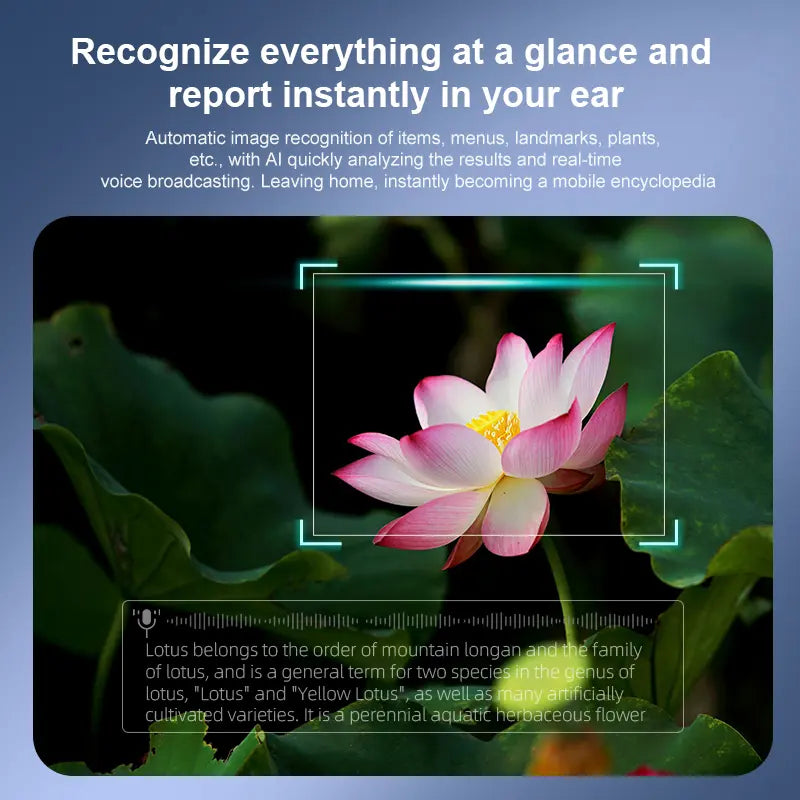 https://cdn.shopify.com/s/files/1/0776/4987/1100/files/3_1060x_bffb4916-7d38-4666-840f-791ddfb277a6.png?v=1769482411