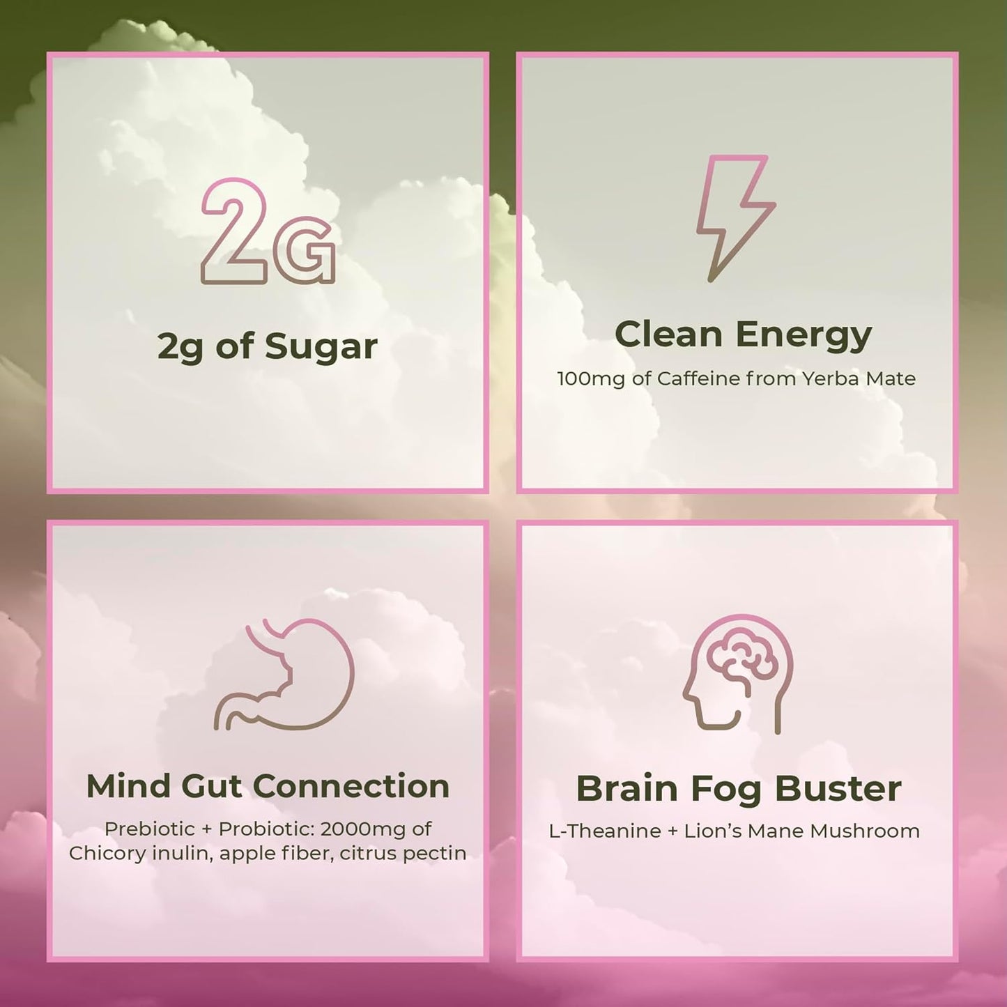 Yerba Mate Instant Tea Powder™