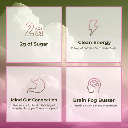 Yerba Mate Instant Tea Powder™