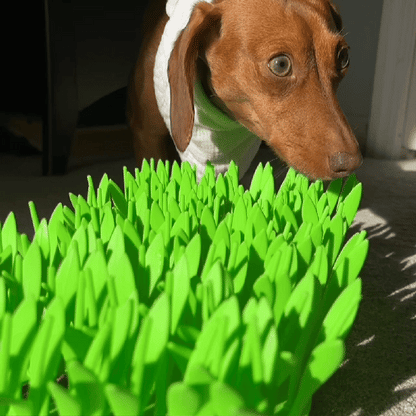 Lick Lawn™ Enrichment Mat