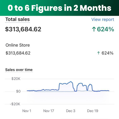 Expert PreBuilt Shopify Store