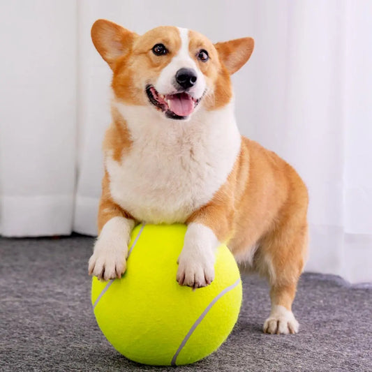 TitanToss™ Giant Tennis Ball